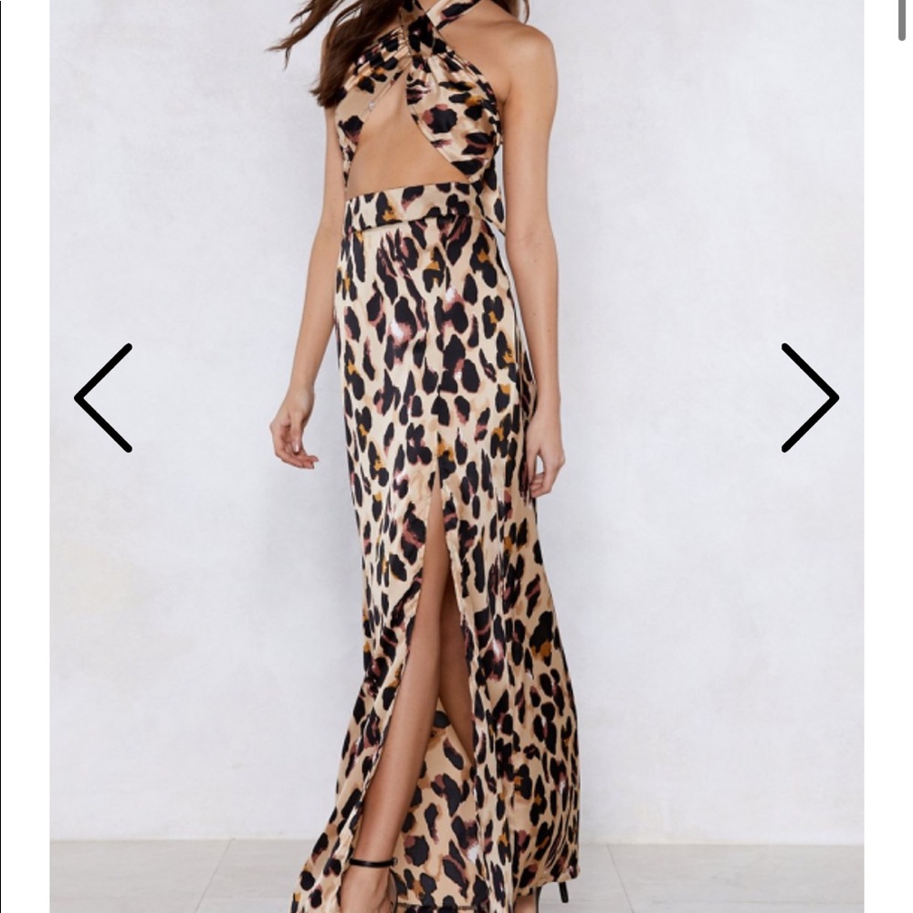 So Fierce Leopard Top and Maxi Skirt